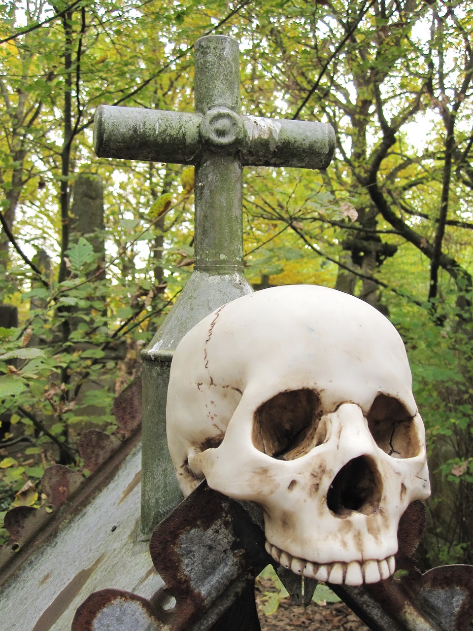 death skull skull and crossbones free photo