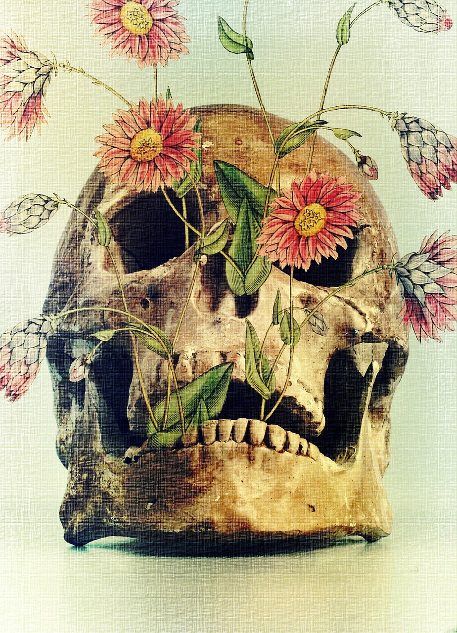 death skull flowers free photo