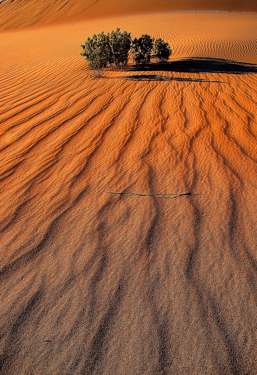 death valley sand nature free photo