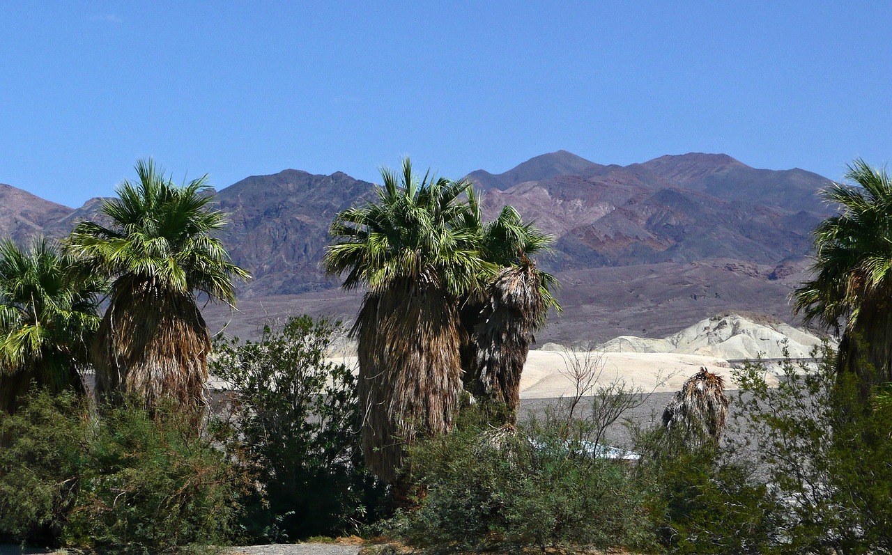death valley california usa free photo