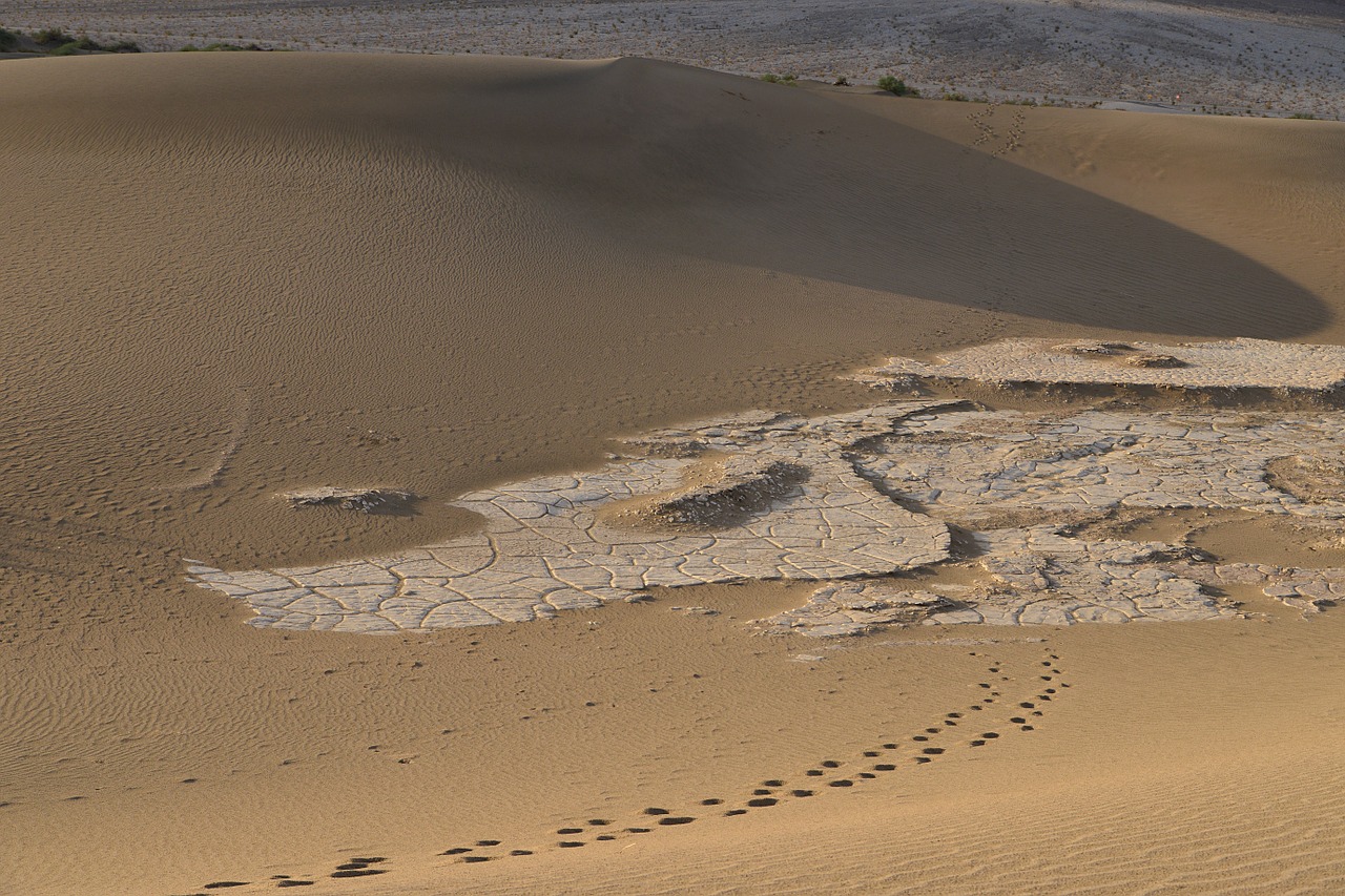 death valley desert sand free photo