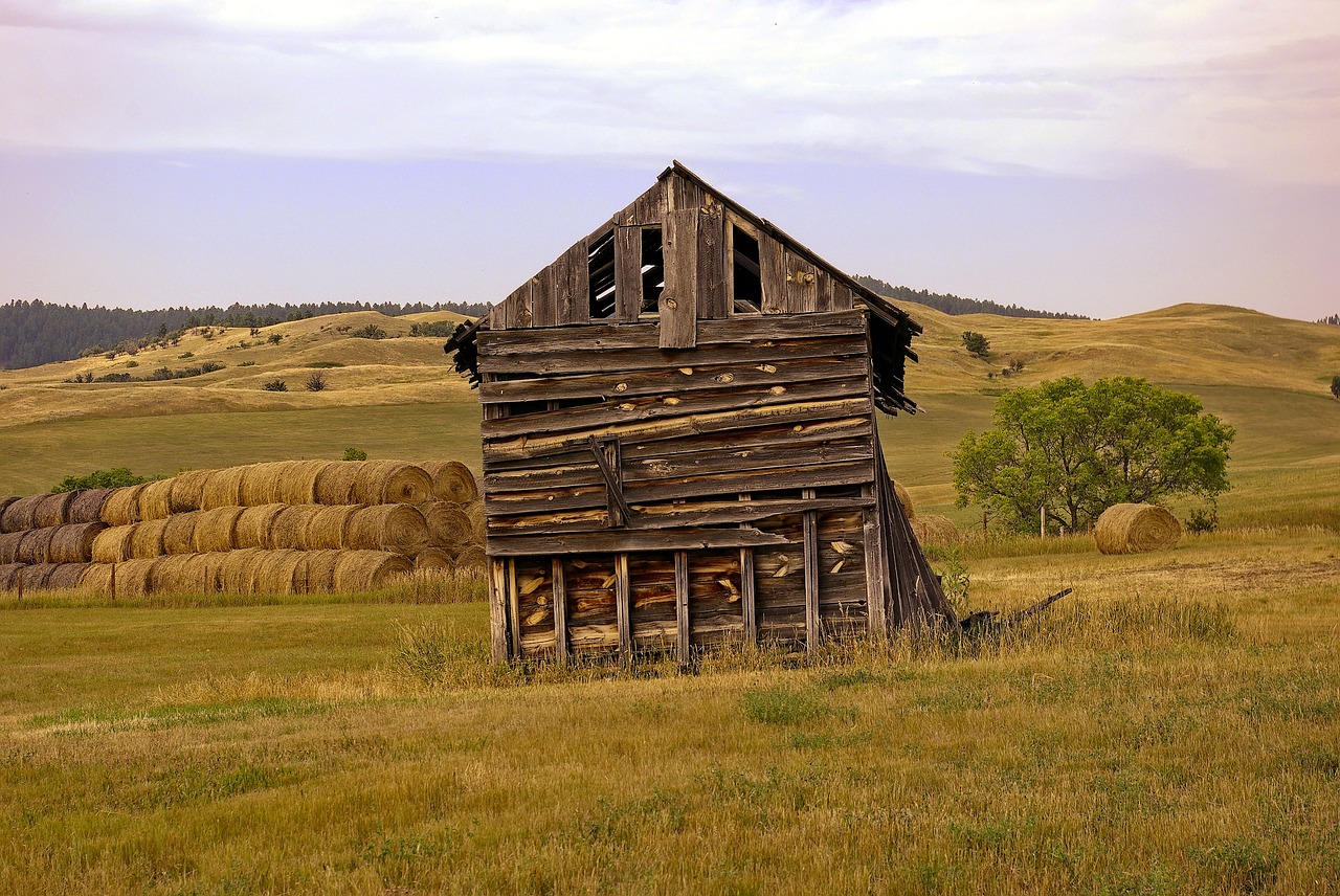 decaying barn  decay  old free photo