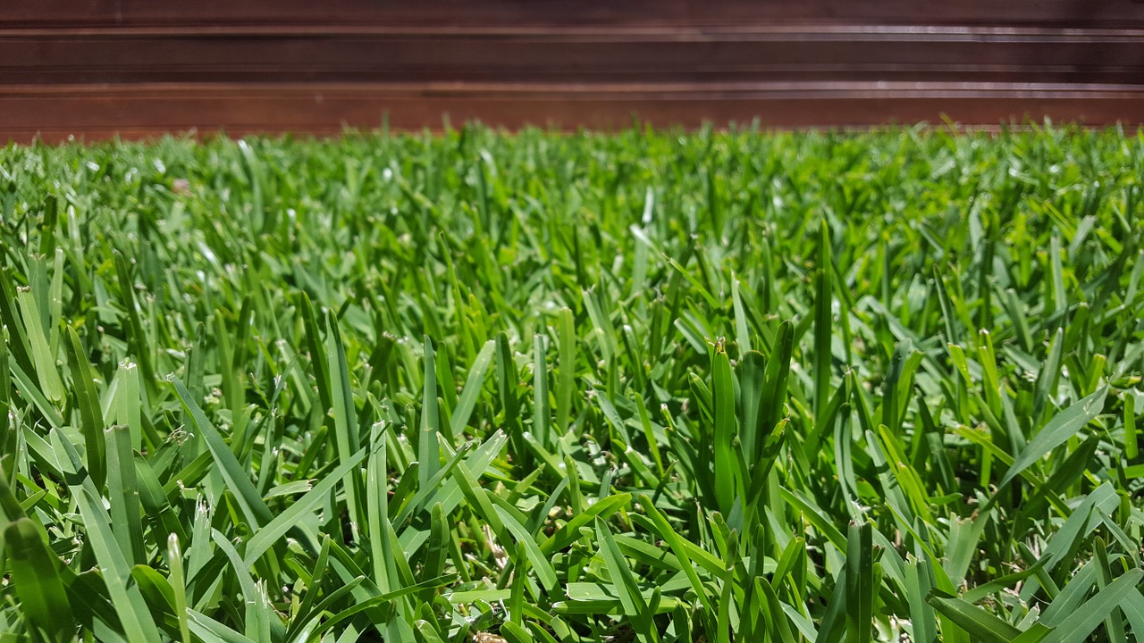 deck grass green free photo