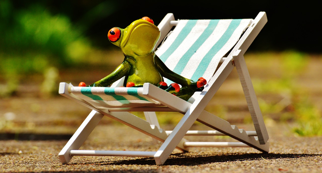 deck chair beach frog free photo