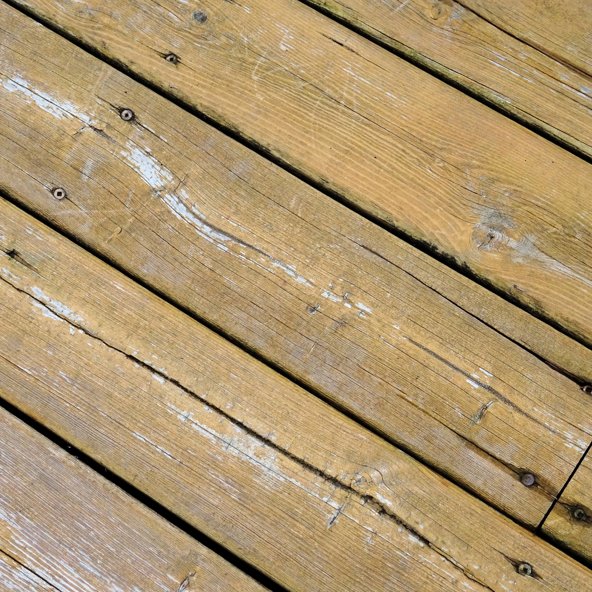 wooden deck closeup free photo