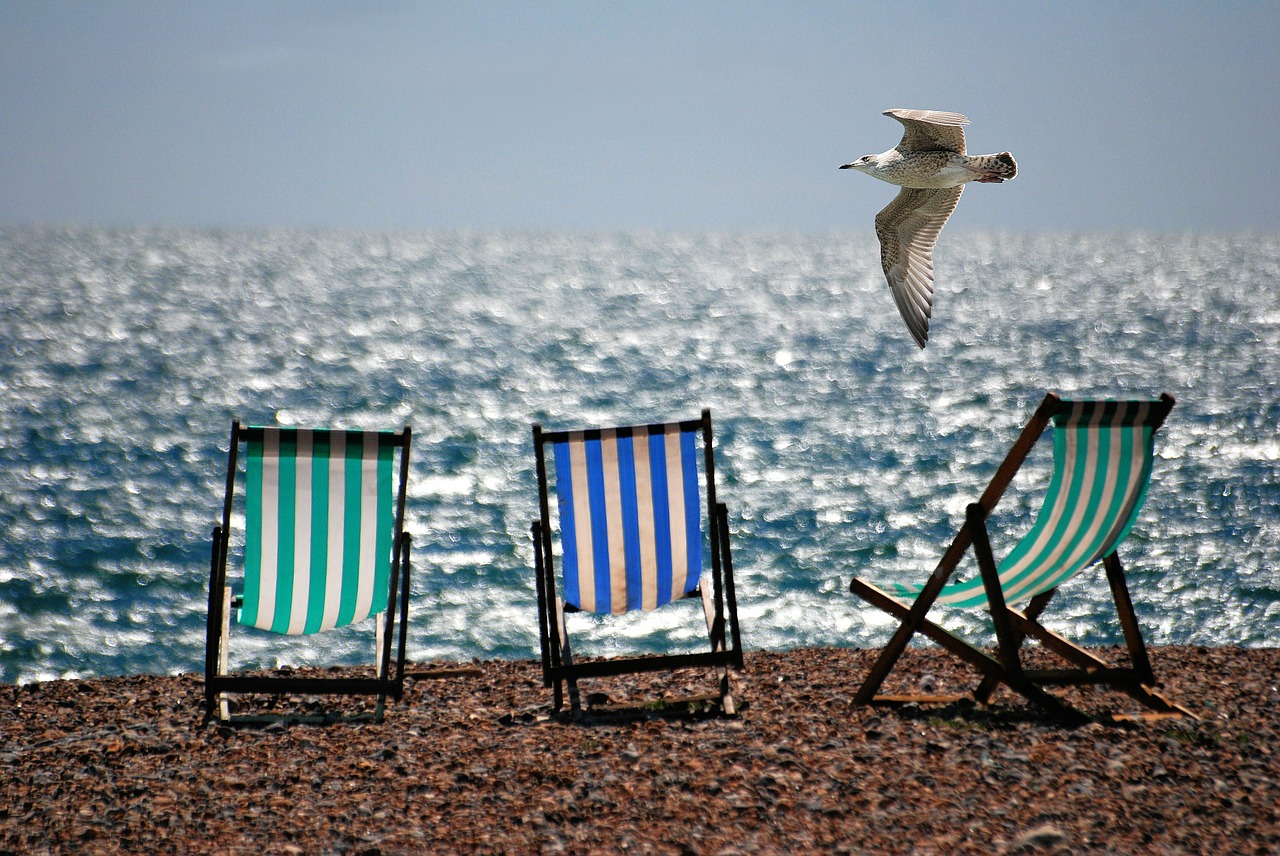 deckchairs sea beach free photo