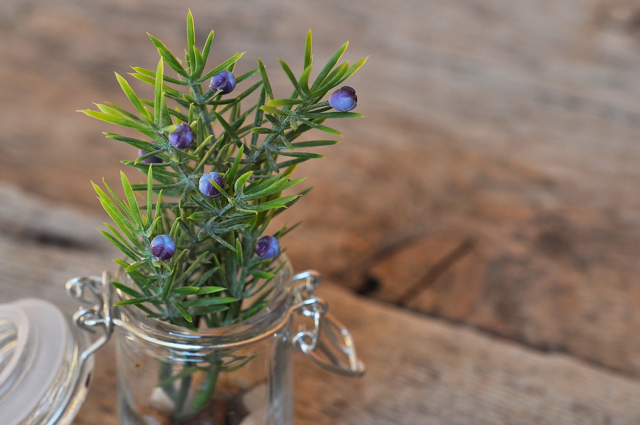 deco decoration jar free photo