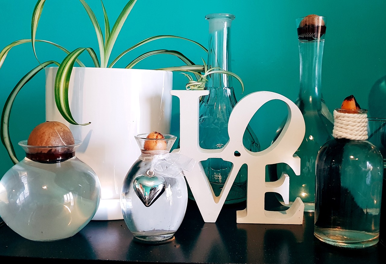 decor  love  plant free photo