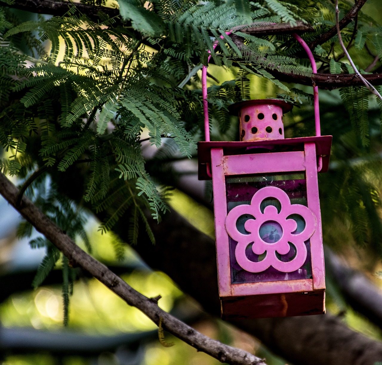 décor  lantern  outdoors free photo