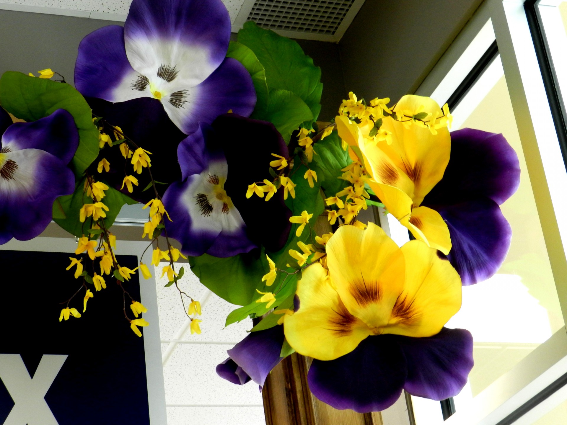 flowers purple yellow free photo
