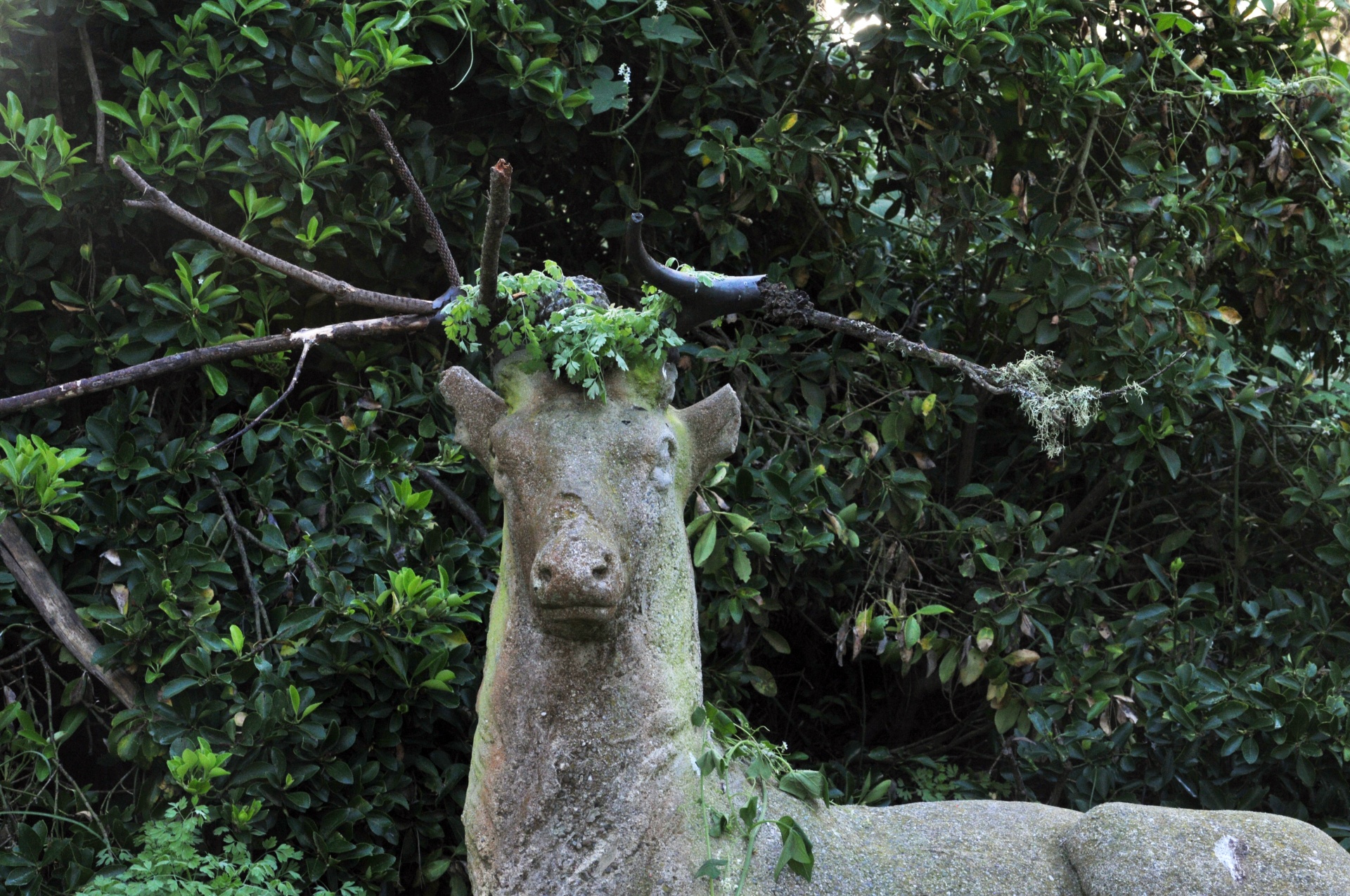 deer statue branches free photo