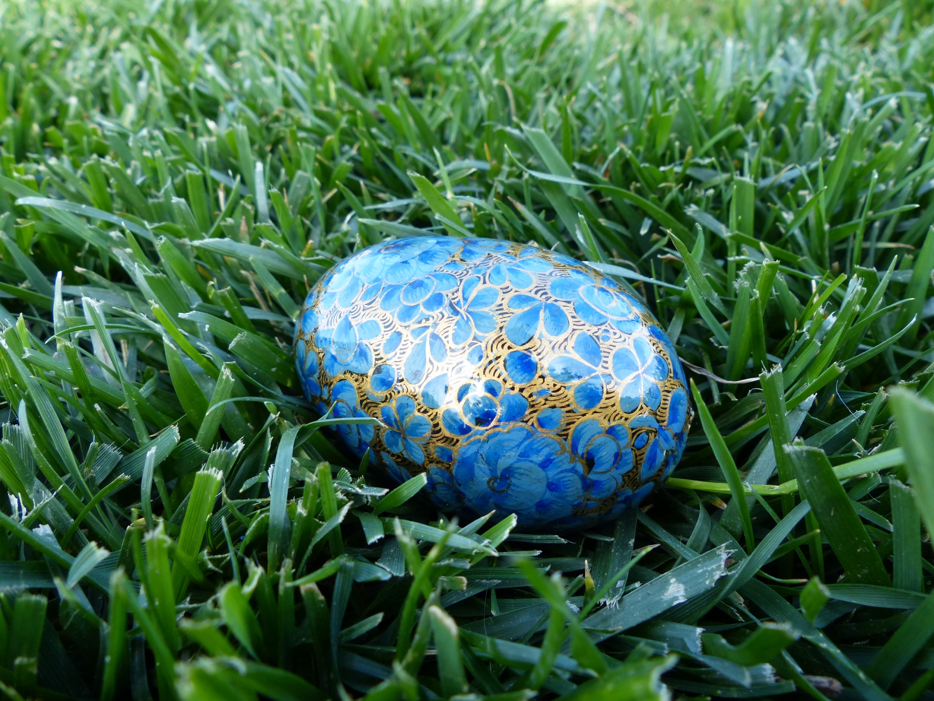 egg easter blue free photo