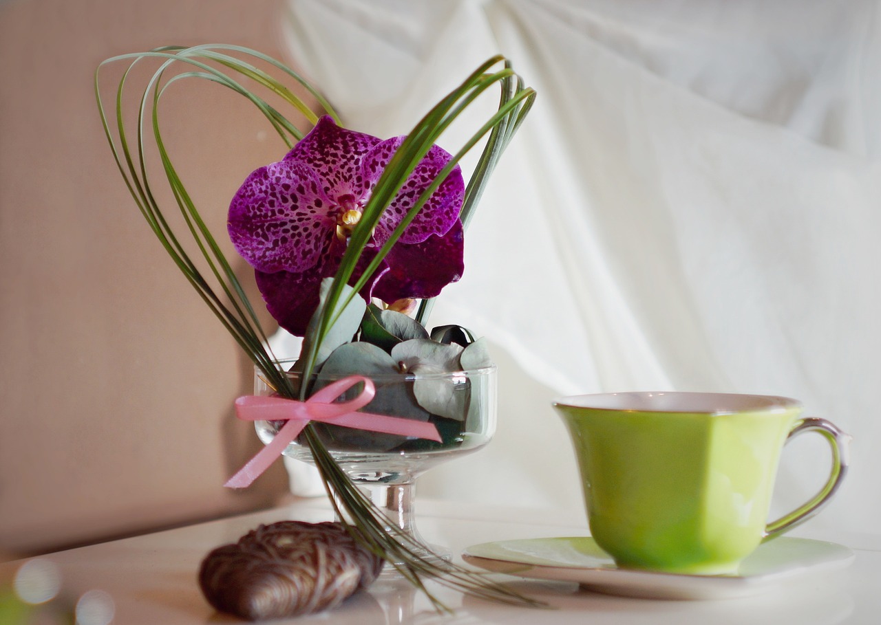 decoration orchidea cup free photo