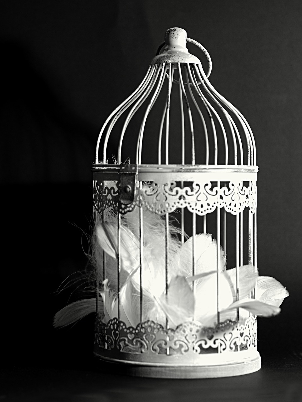 decoration cage feather free photo