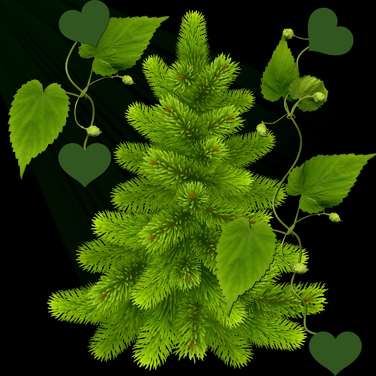 decoration green black background free photo