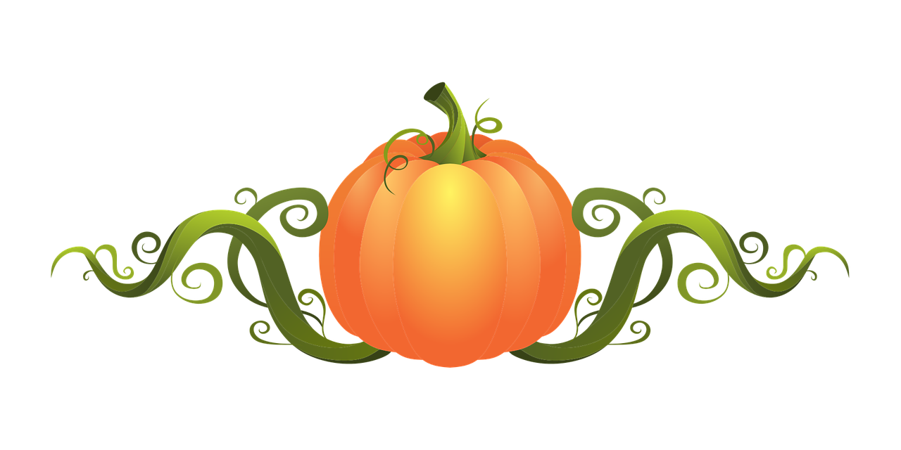 decoration  pumpkin  vegetable free photo