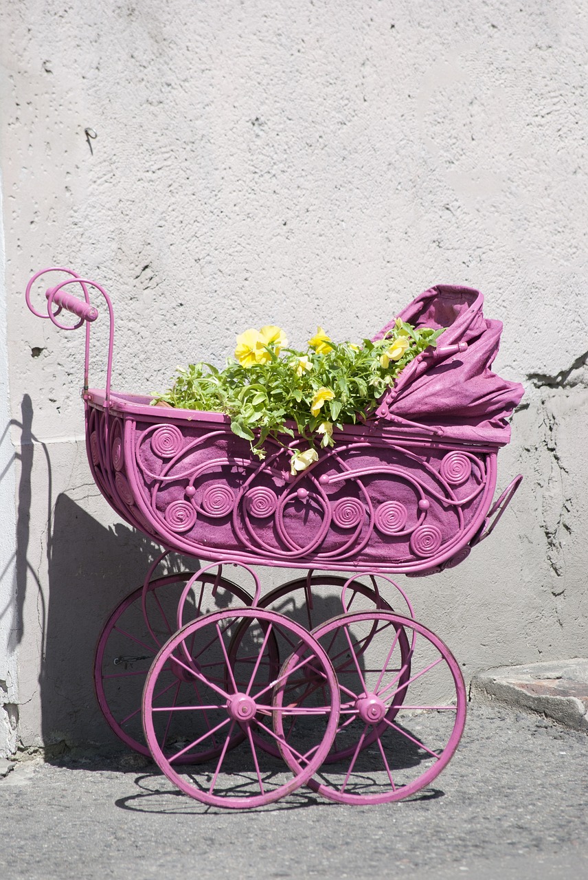 decoration  flowers  stroller free photo