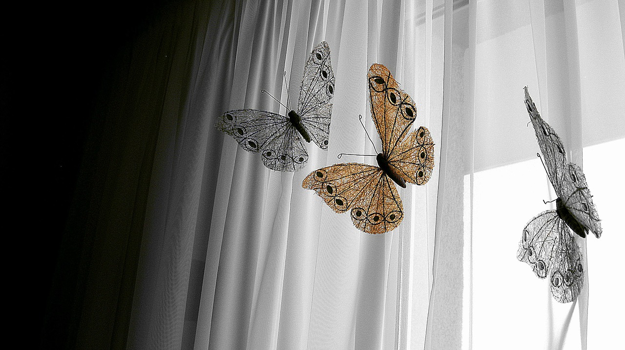 decoration butterfly window free photo