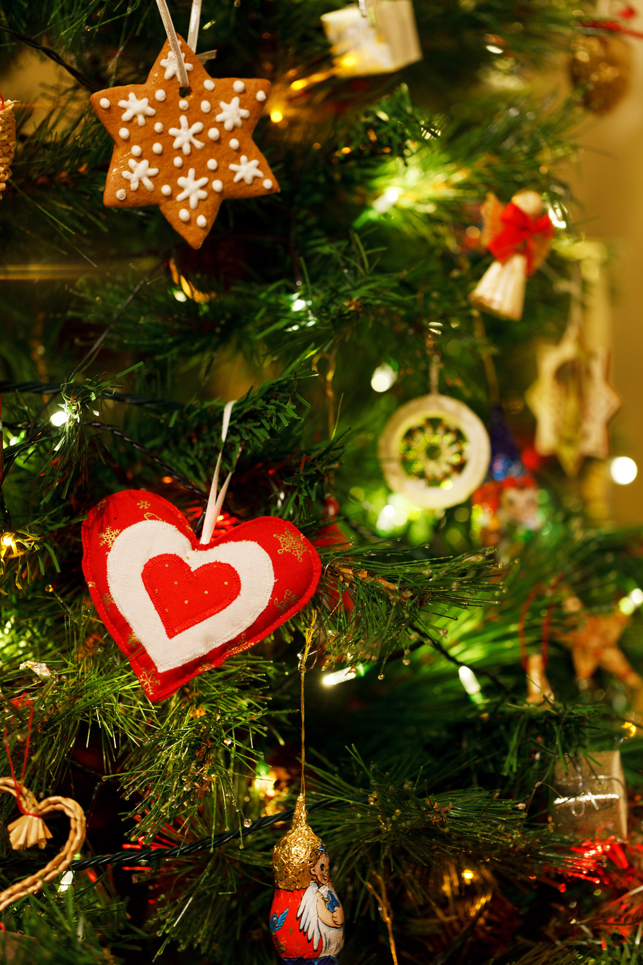 christmas tree celebration christmas tree decoration free photo