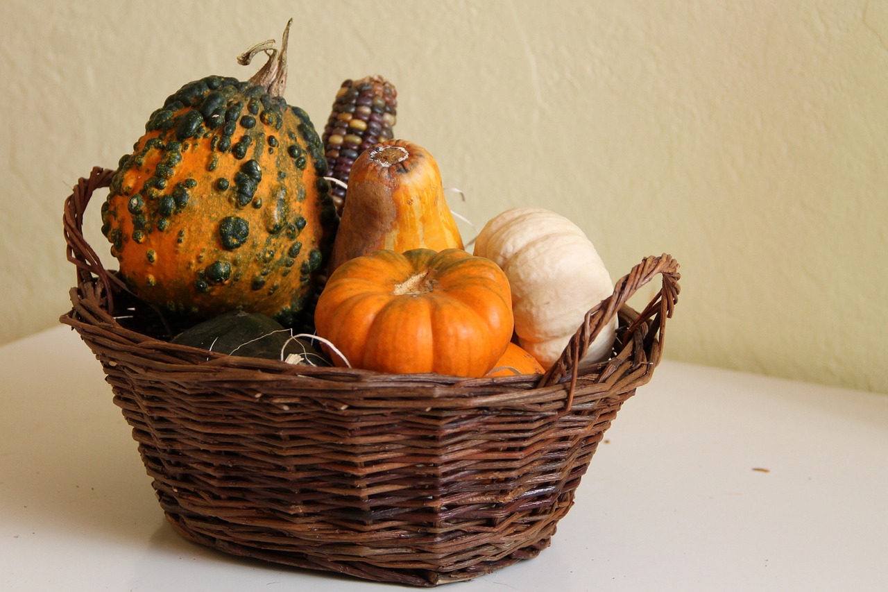 decorative squashes pumpkin crop free photo