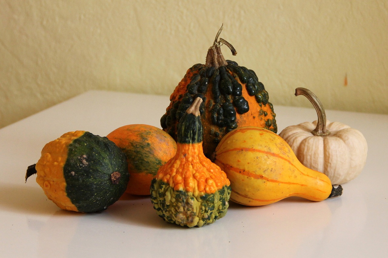 decorative squashes pumpkin crop free photo