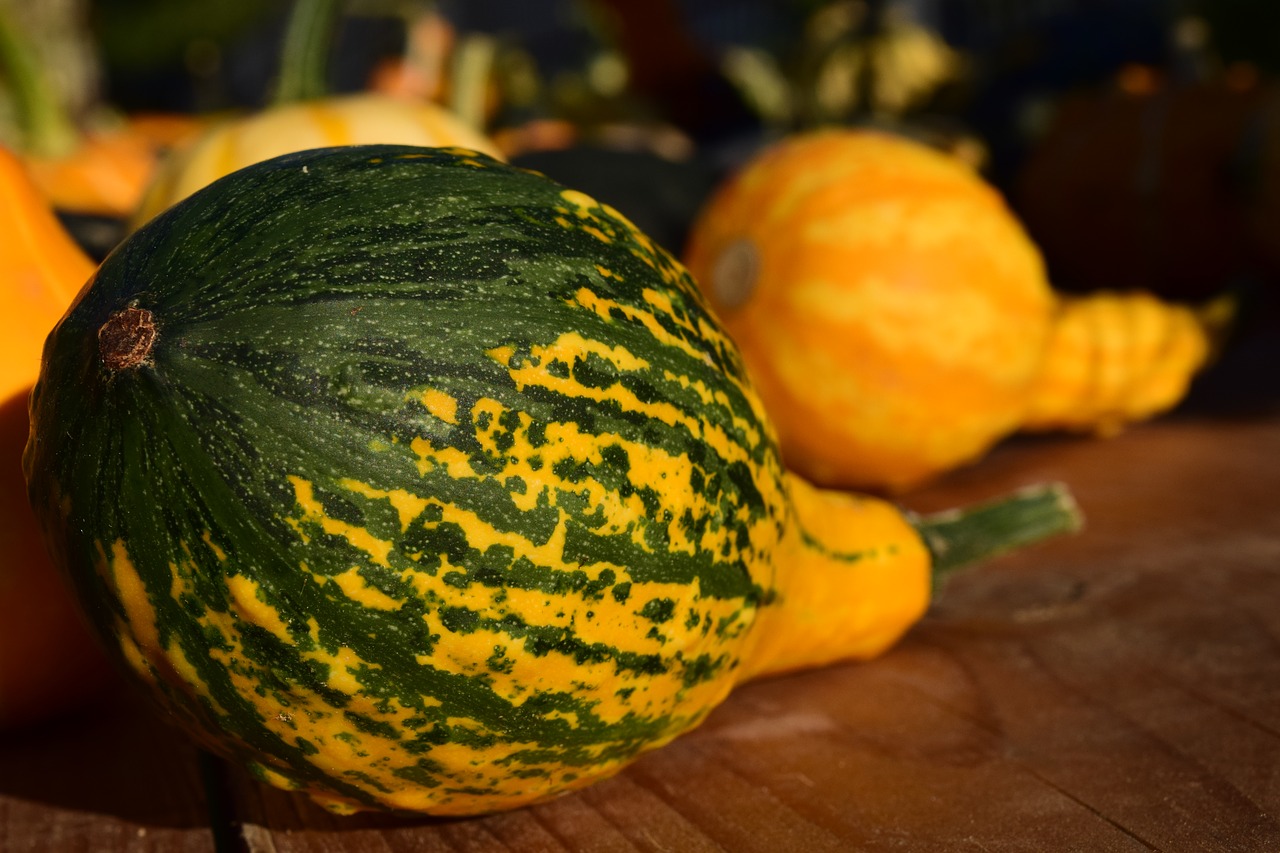 decorative squashes pumpkins yellow free photo