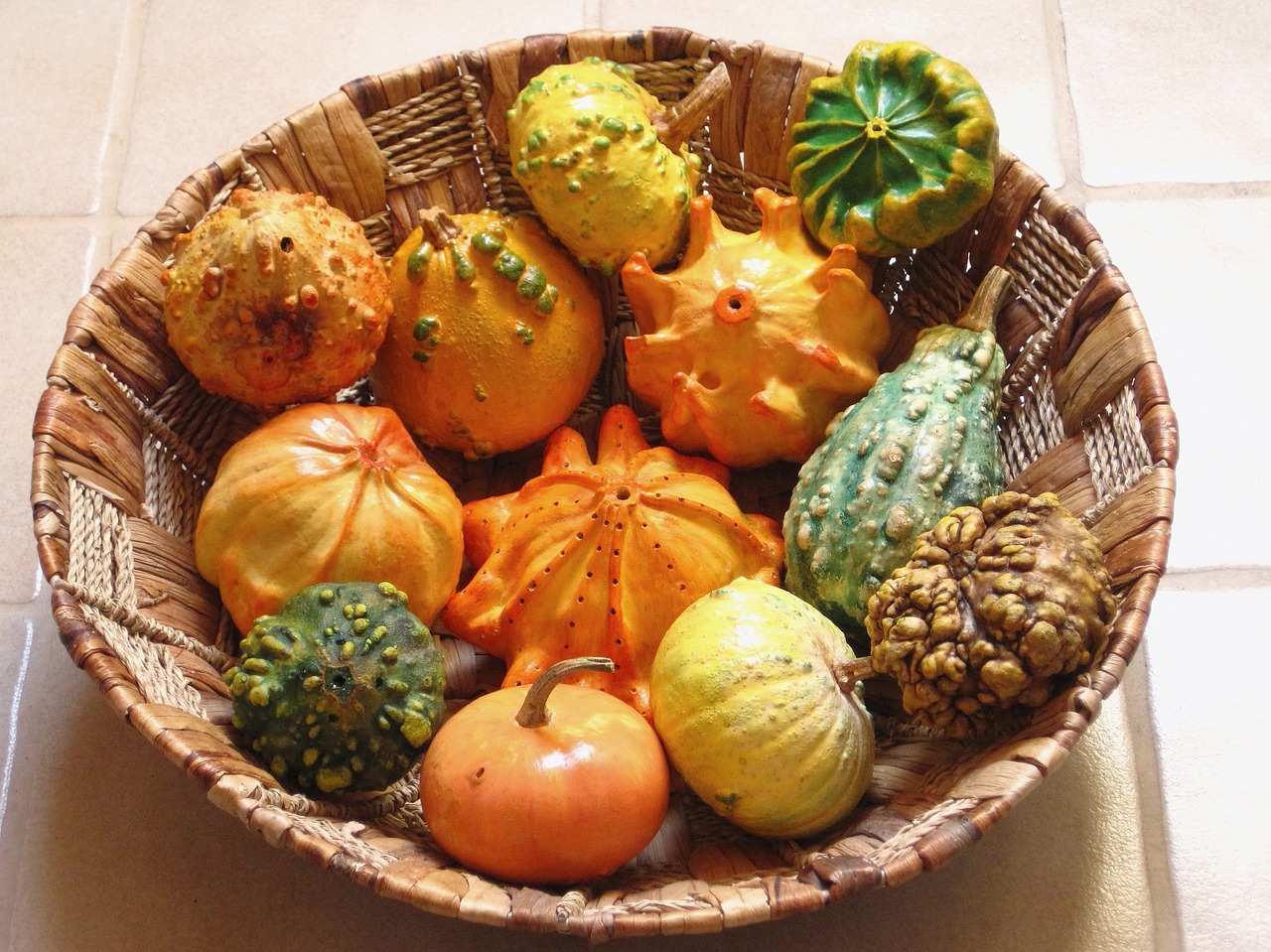 decorative squashes pumpkins dried free photo