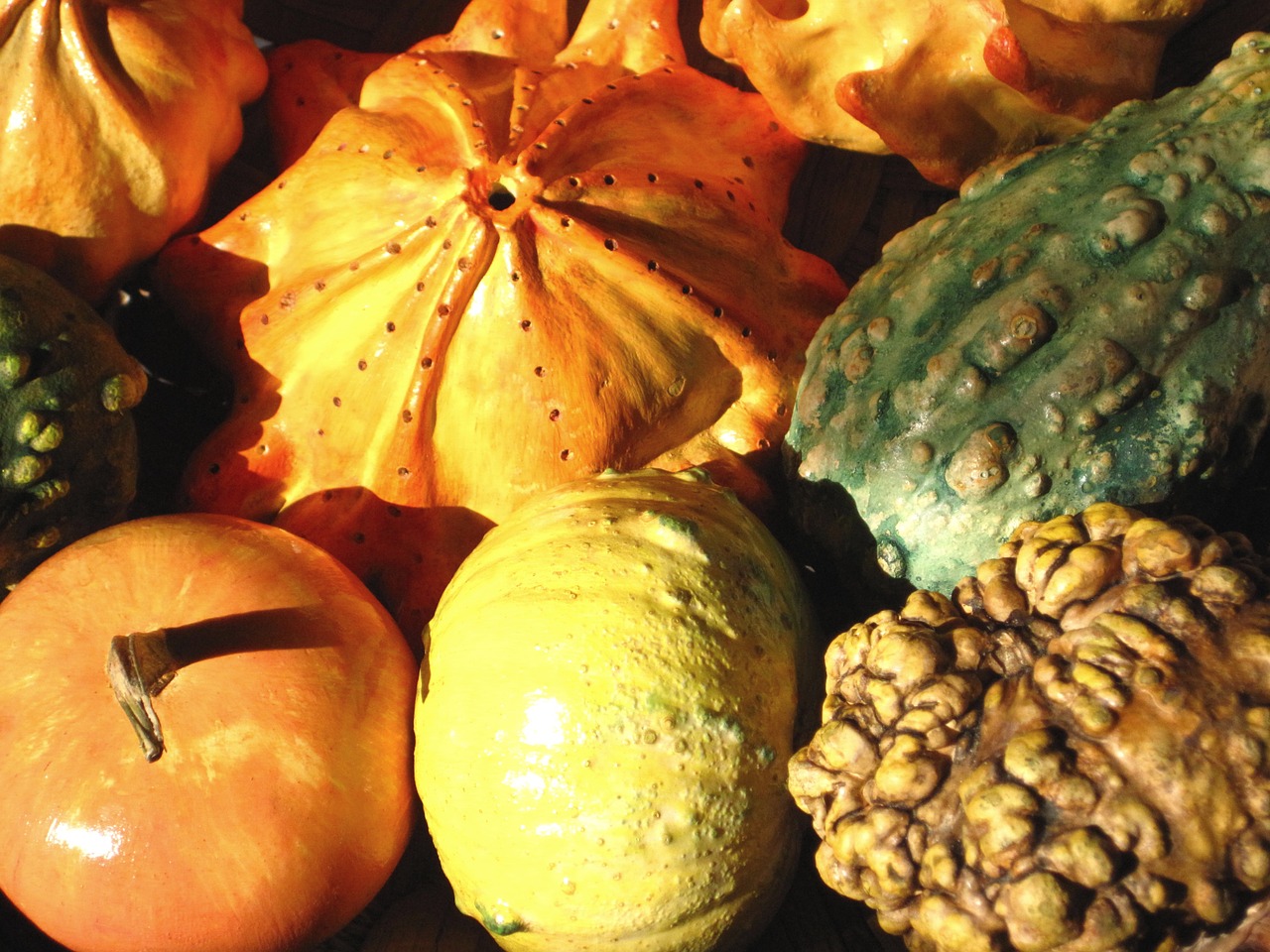 decorative squashes pumpkins autumn free photo