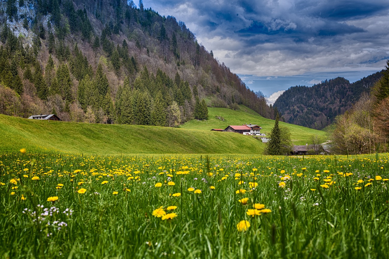 deep creek  oberstdorf  bavaria free photo