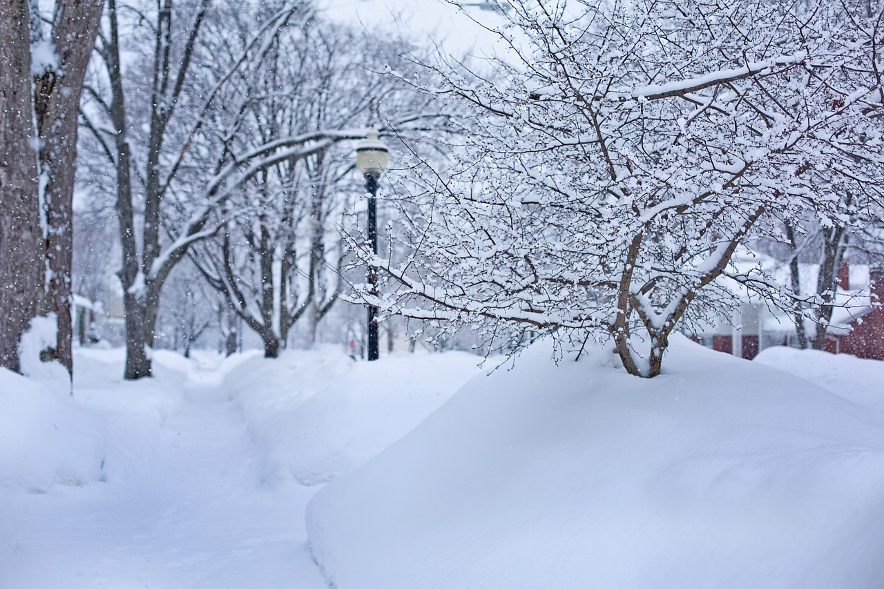 deep snow winter michigan free photo