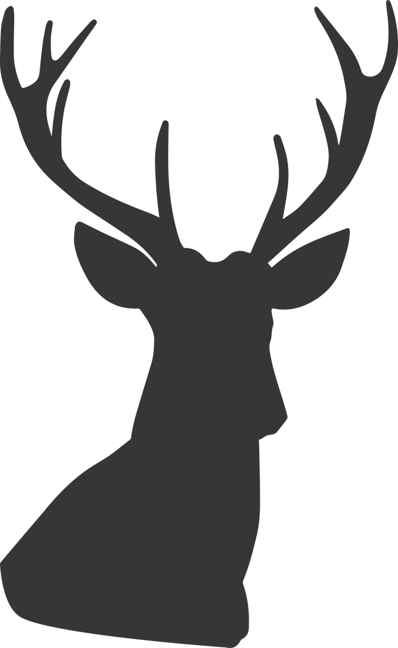 deer deer silhouette silhouette free photo