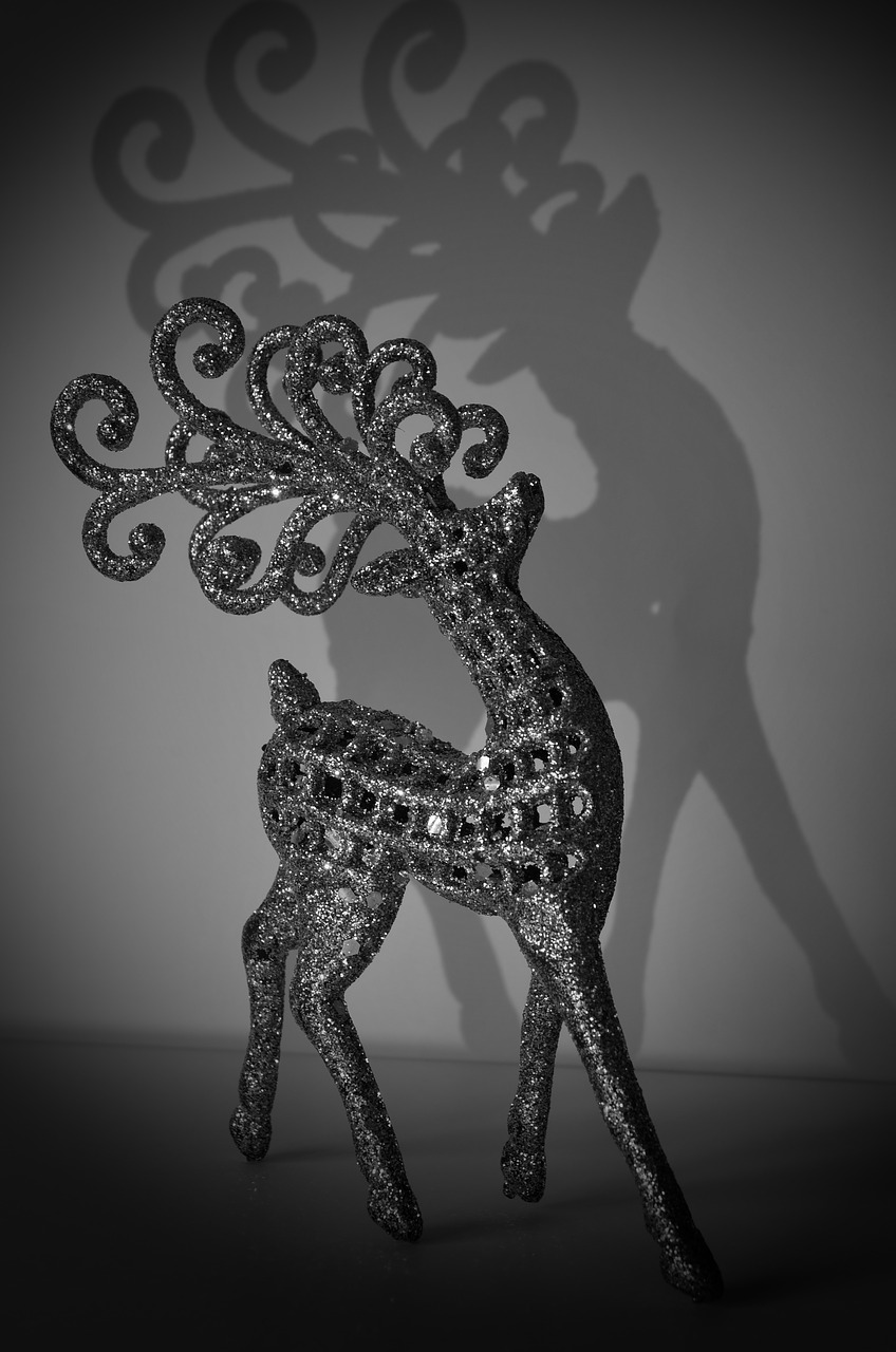 deer shadow antlers free photo