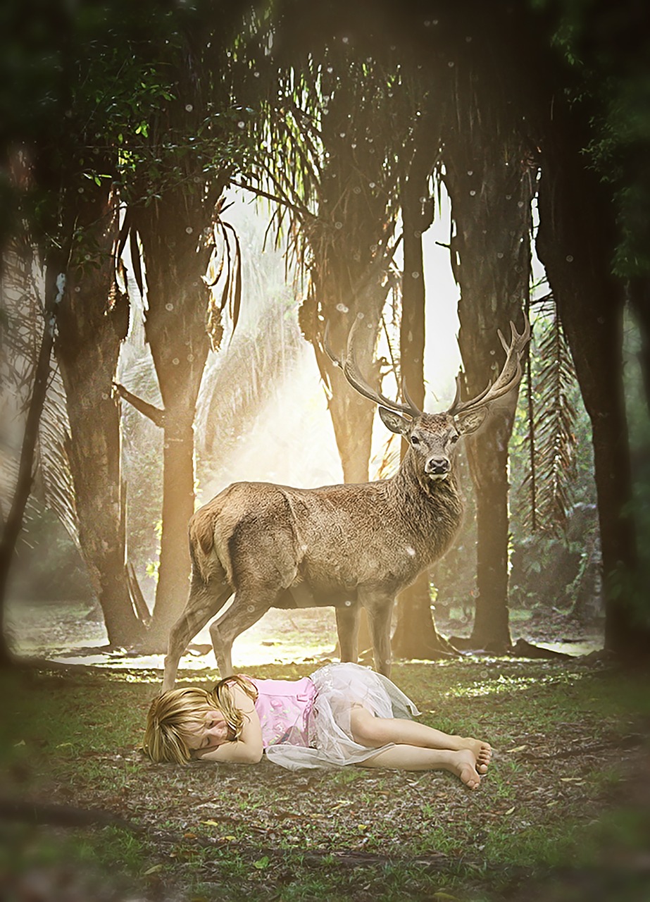 deer jungle animal free photo