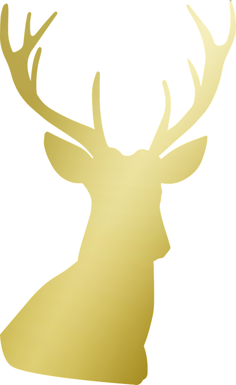 deer antlers gold free photo
