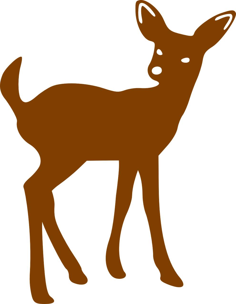 deer fawn bambi free photo