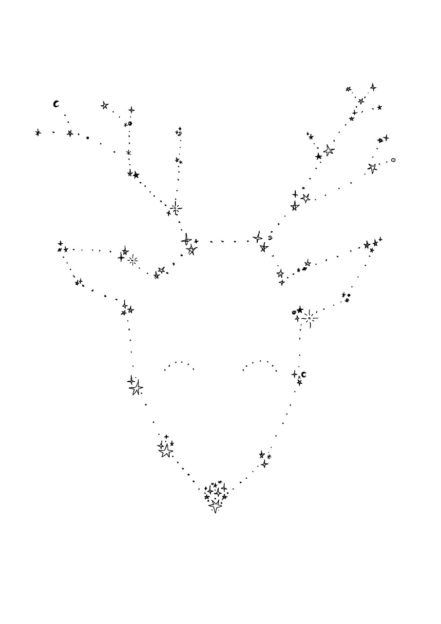 deer  constellation  stars free photo