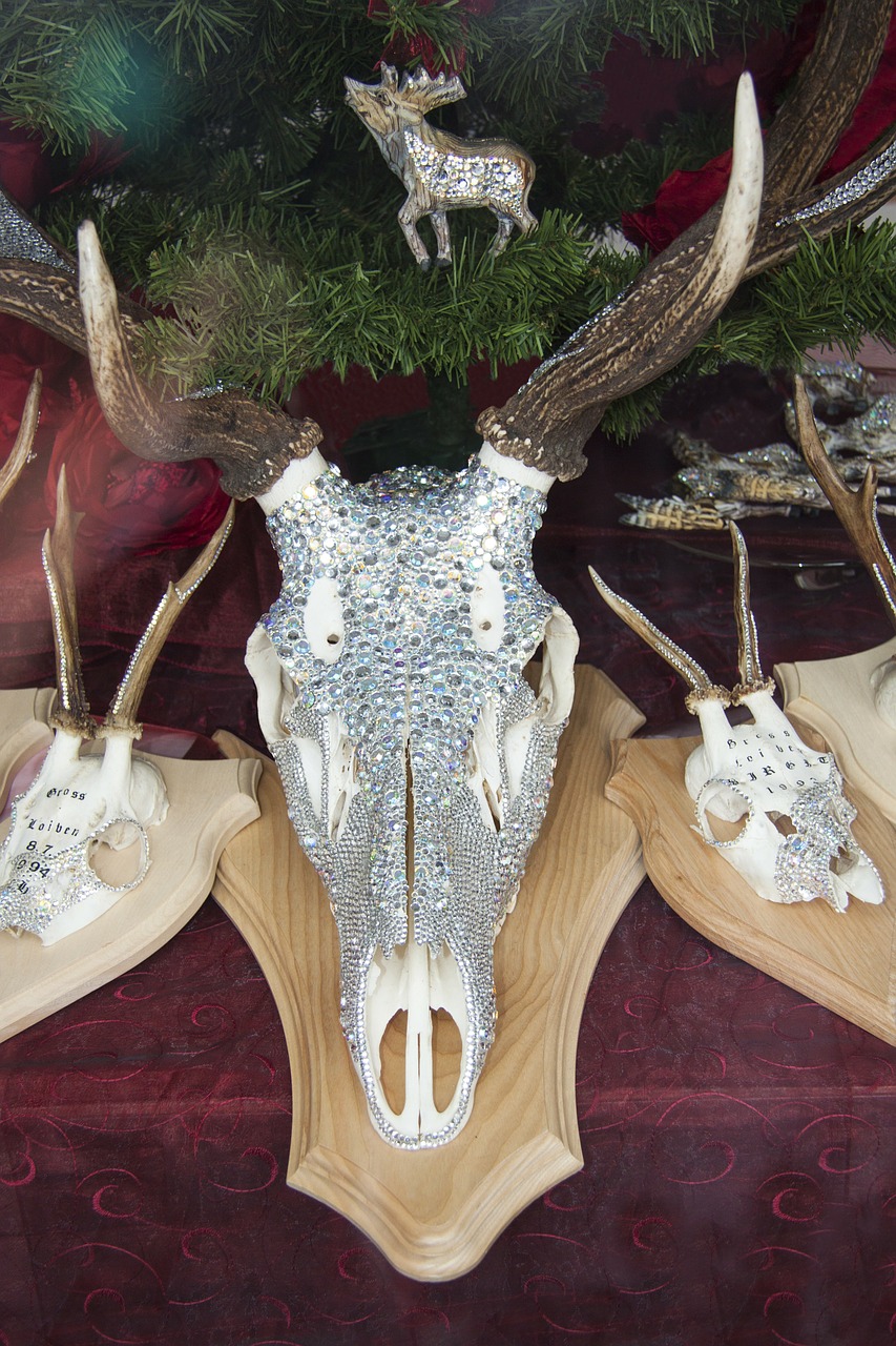 deer antler decorated swarovski beads free photo