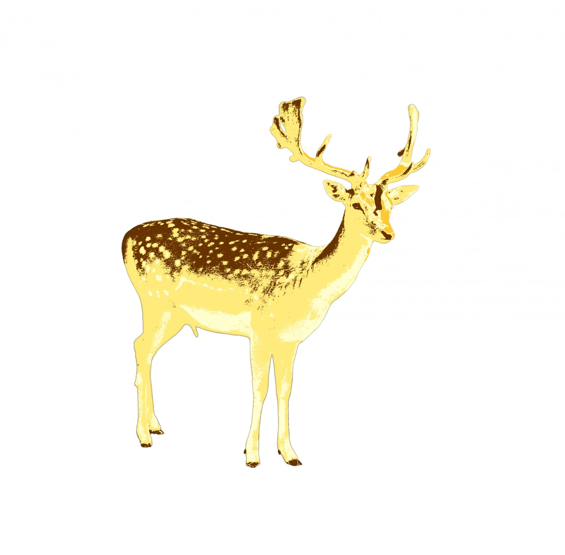spotted deer clipart