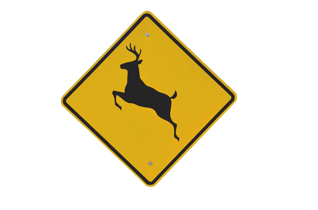 Download free photo of Deer crossing,sign,wildlife,caution,deer - from