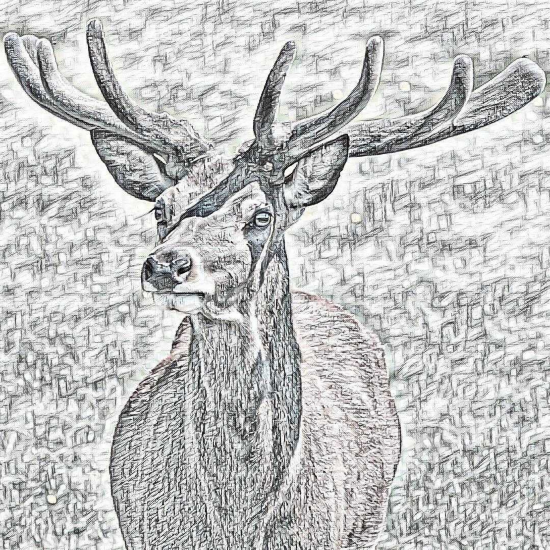 deer stag pencil free photo