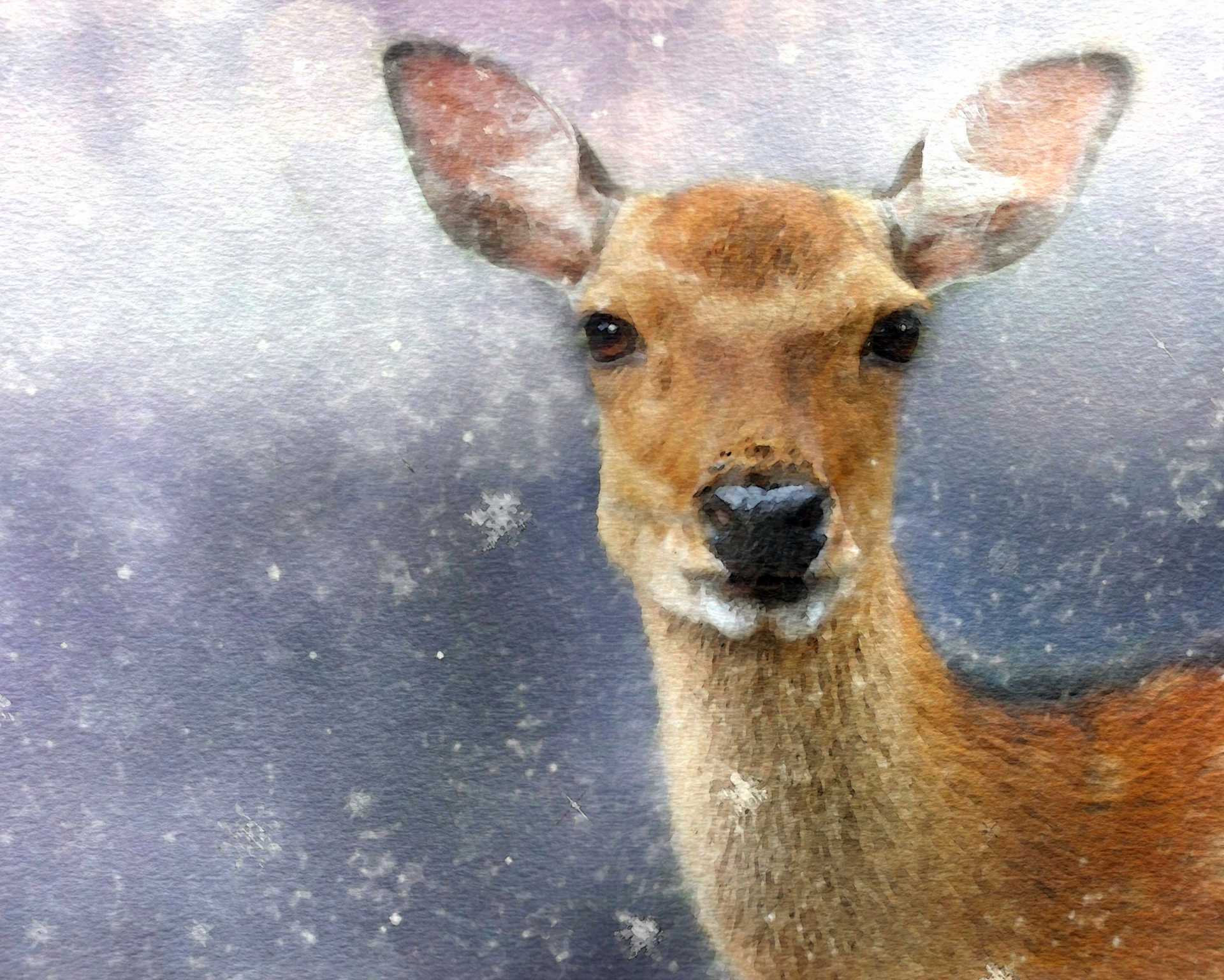 deer watercolor watercolour free photo
