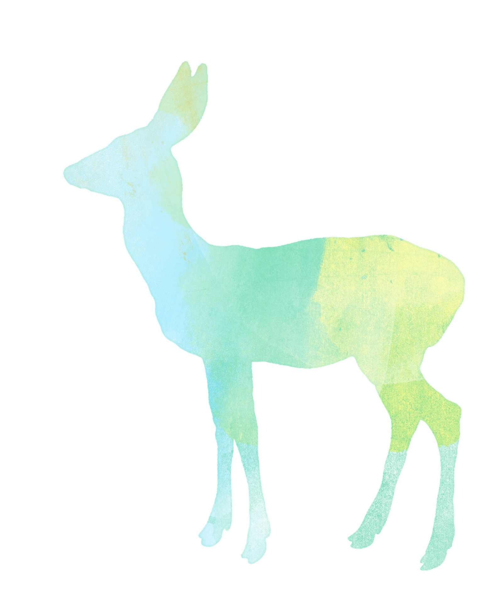 deer watercolour watercolor free photo