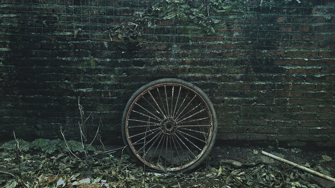 defoliation tire brick wall free photo