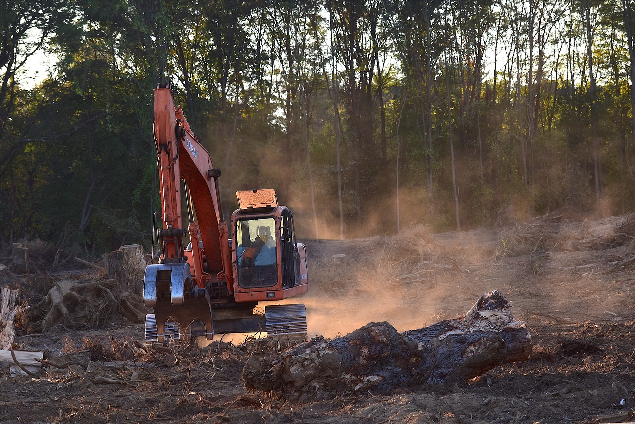 deforestation machine truck free photo