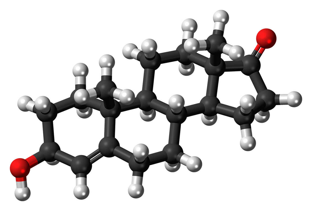 dehydroepiandrosterone steroid molecule free photo