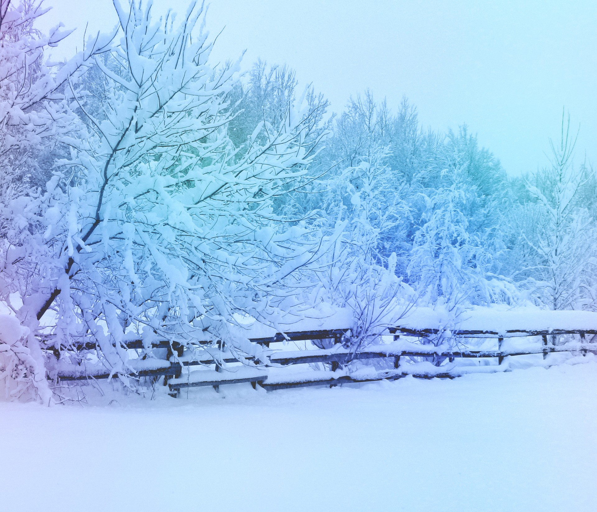 winter snow background campaign design free photo
