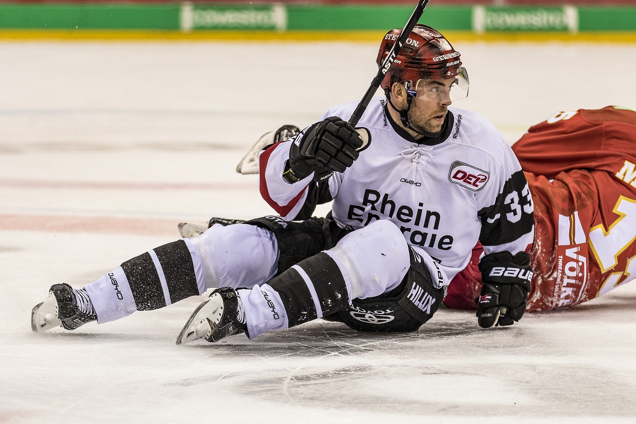 del ice hockey cologne free photo