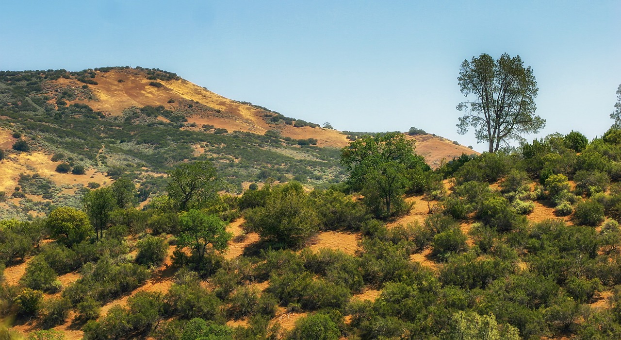 del puerto canyon mountains landscape free photo