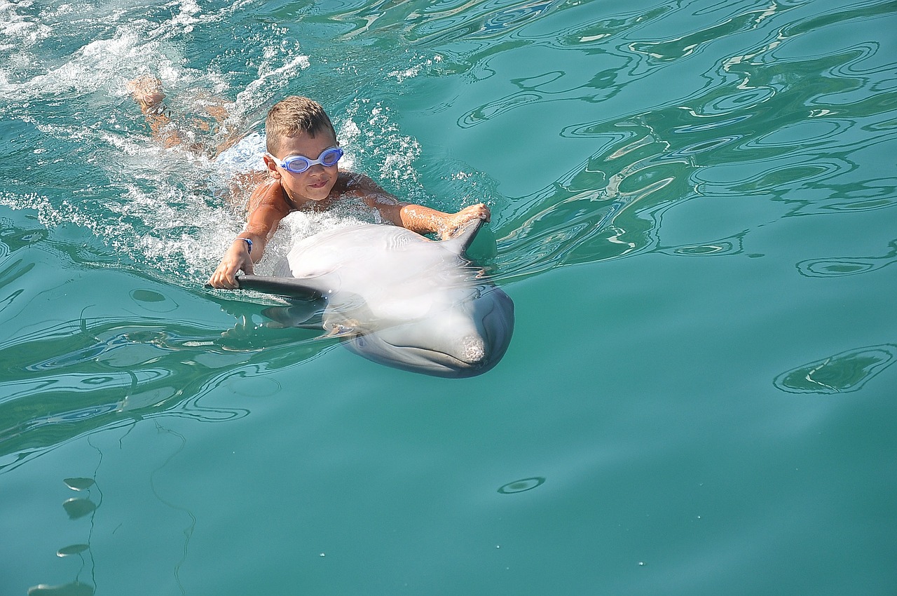 delfin child pool free photo