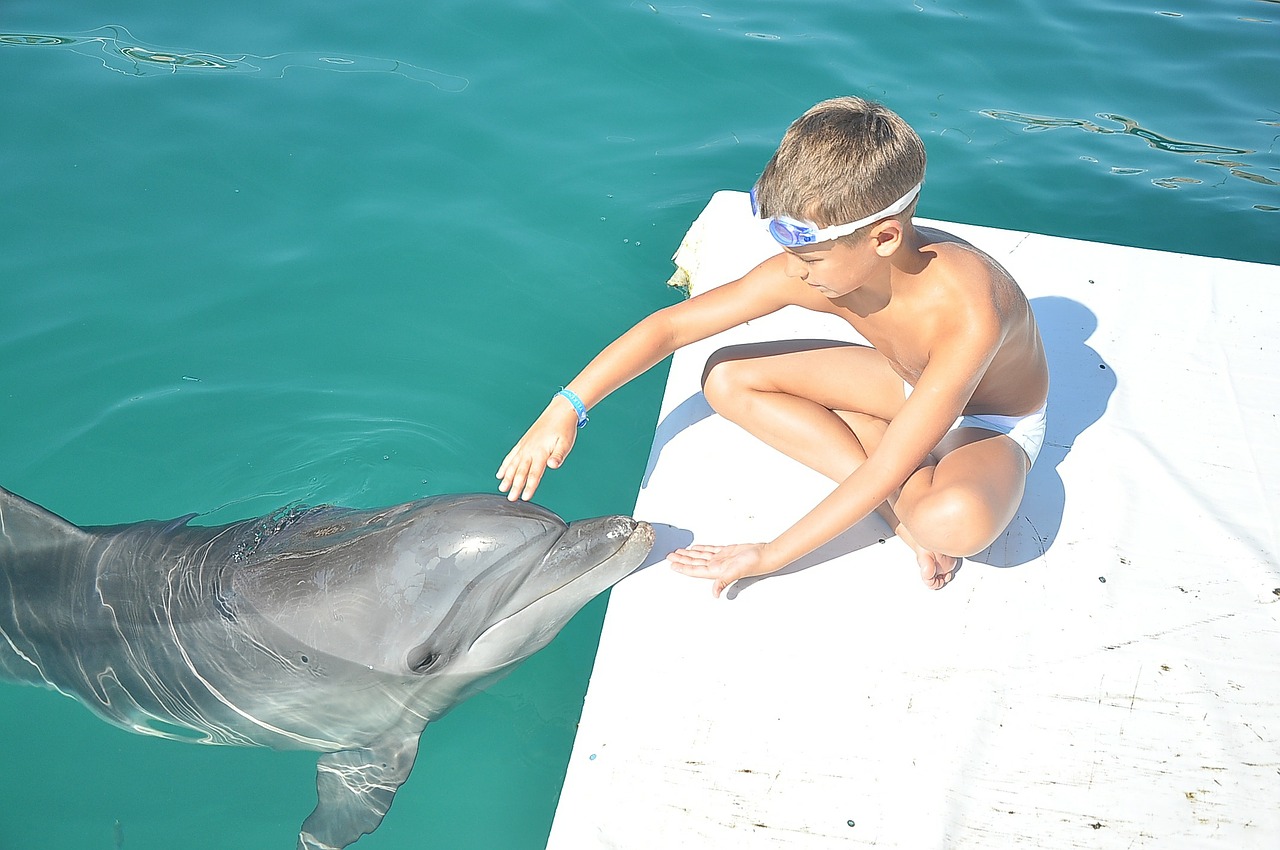 delfin boy sea free photo